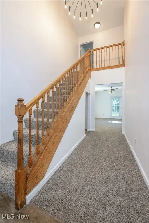 Stairs with a high ceiling and carpet flooring