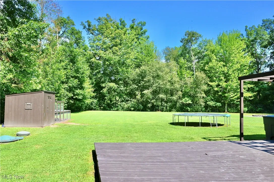 3982 Pritchard Ohltown Road, Newton Falls, Ohio 44444,MLS Now Listing ID