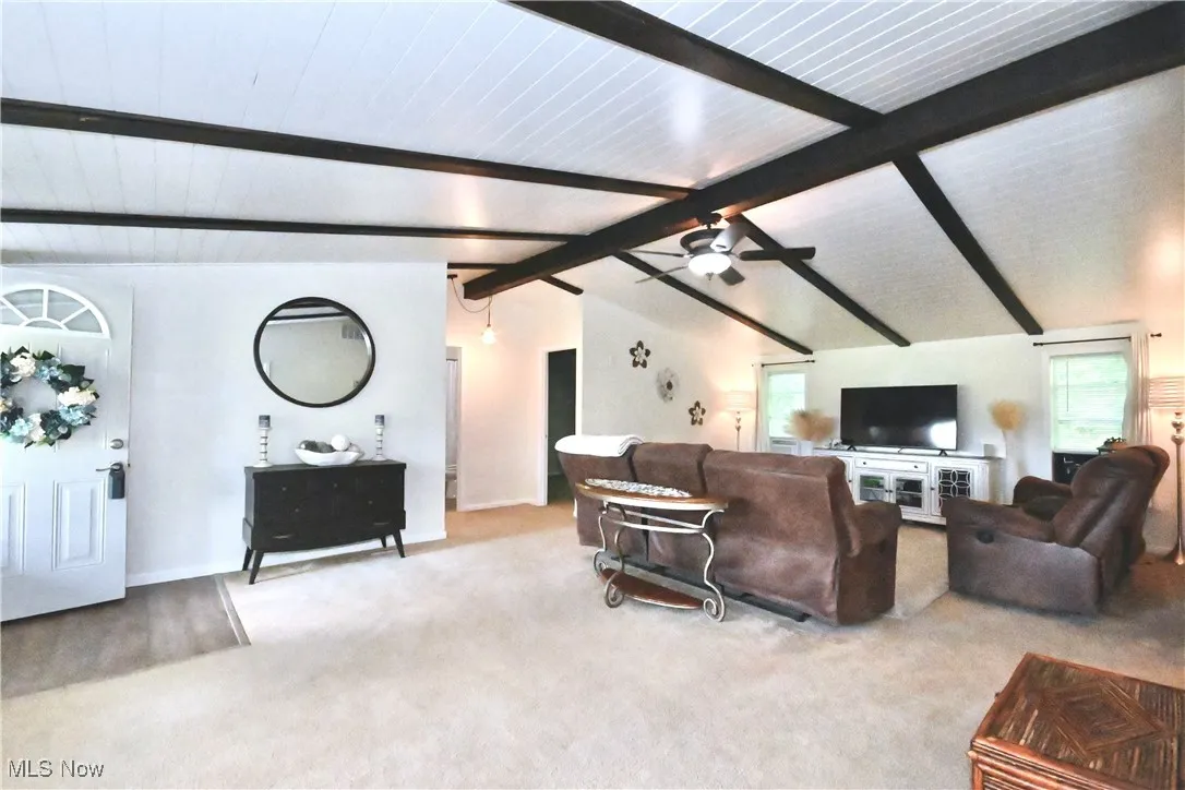 3982 Pritchard Ohltown Road, Newton Falls, Ohio 44444,MLS Now Listing ID
