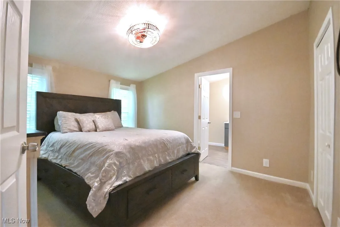 3982 Pritchard Ohltown Road, Newton Falls, Ohio 44444,MLS Now Listing ID
