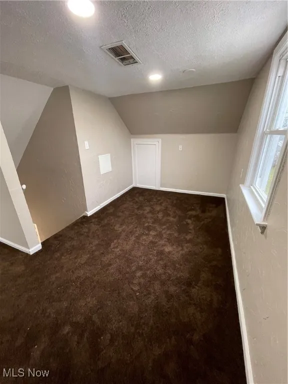 Additional living space featuring a textured wall, a textured ceiling, lofted ceiling, and carpet