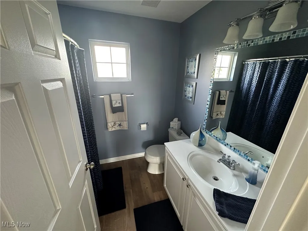 Full bath with plenty of natural light, vanity, wood finished floors, and curtained shower