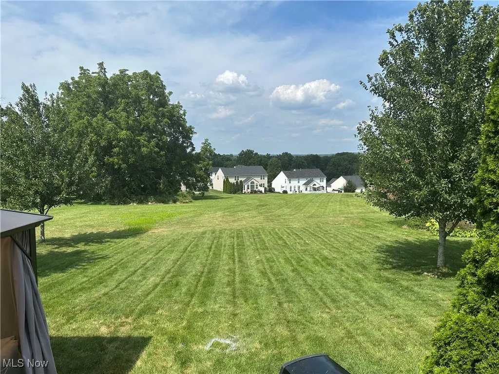 View of green lawn