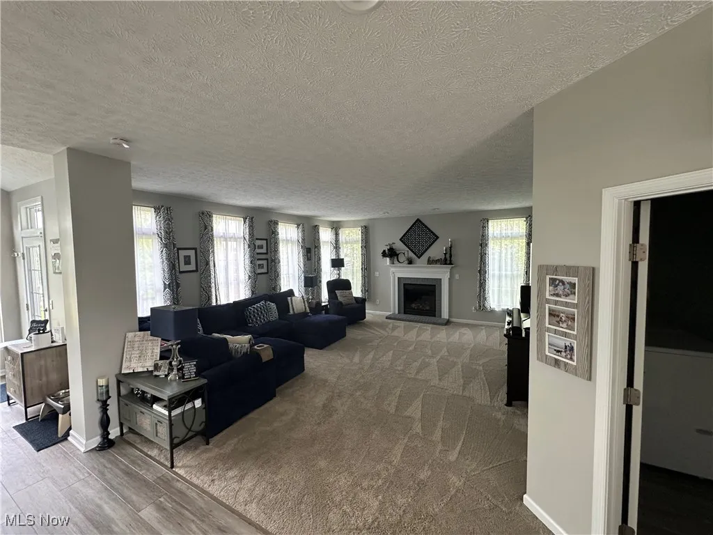 Living room featuring a fireplace with raised hearth, a textured ceiling, and wood finished floors
