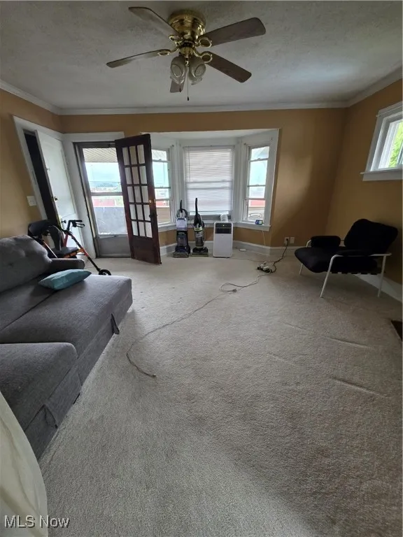 Carpeted living room with crown molding, a textured ceiling, and ceiling fan