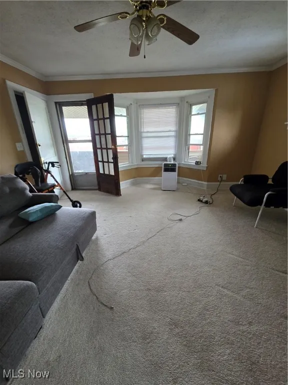 Carpeted living room featuring ornamental molding, a textured ceiling, and a ceiling fan