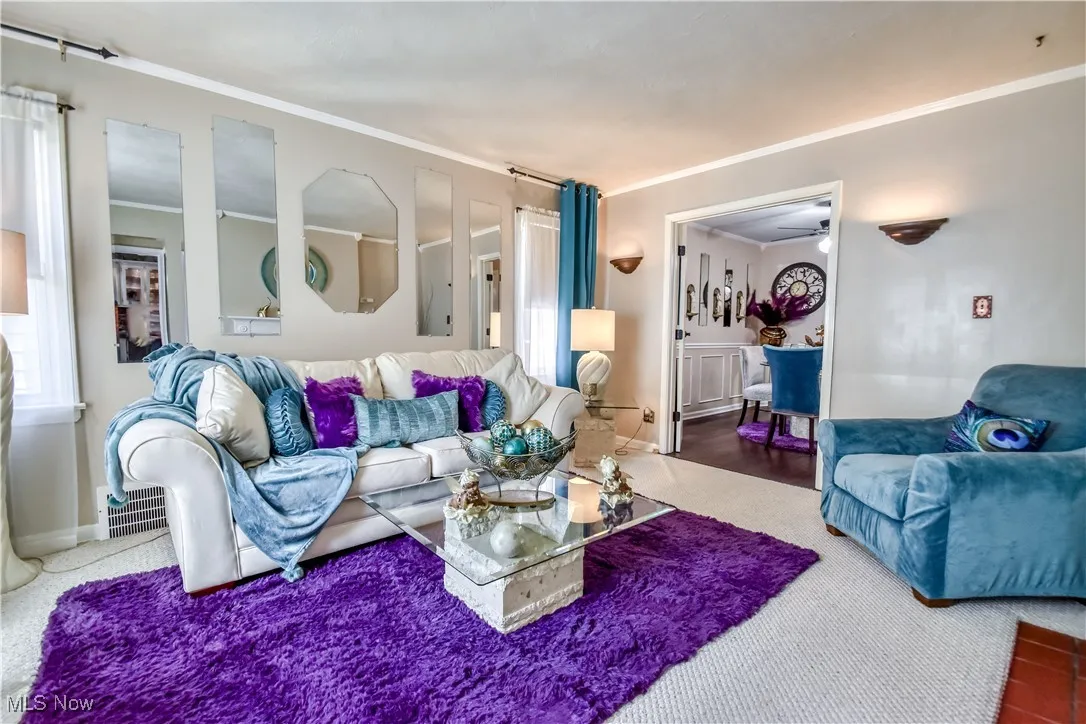 features berber carpeting