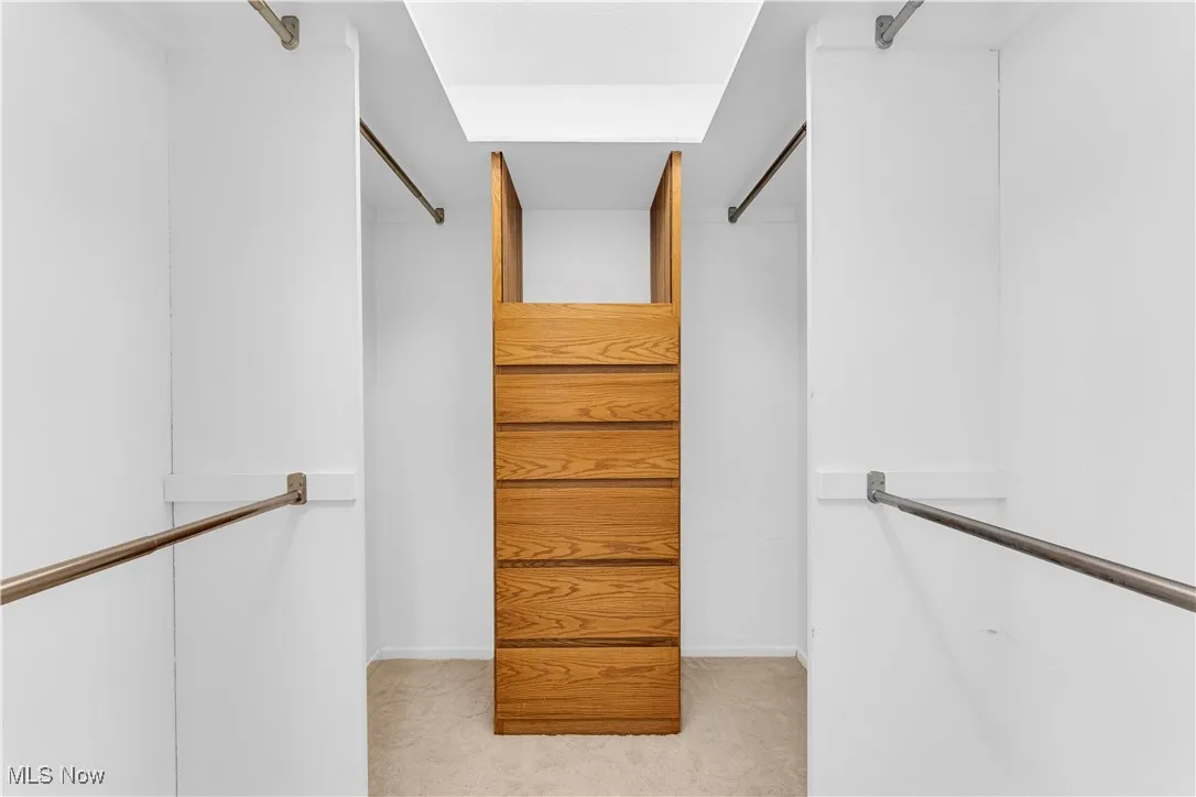 Spacious closet with light carpet