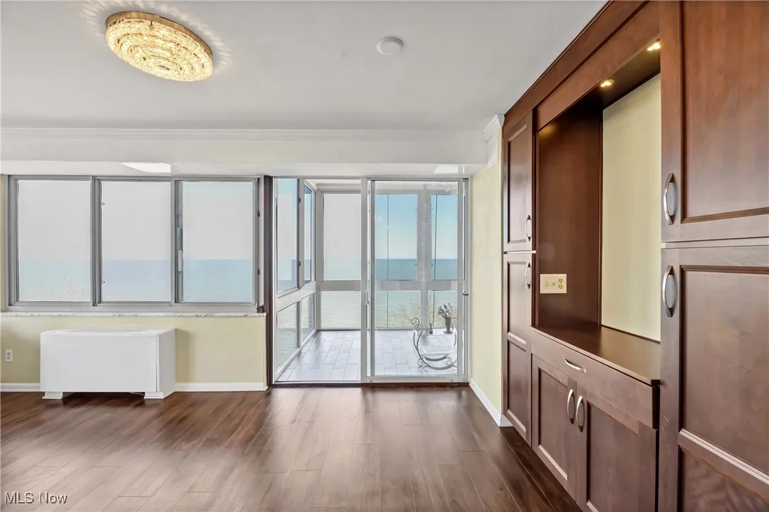 Entryway featuring a wealth of natural light, dark wood finished floors, and baseboards