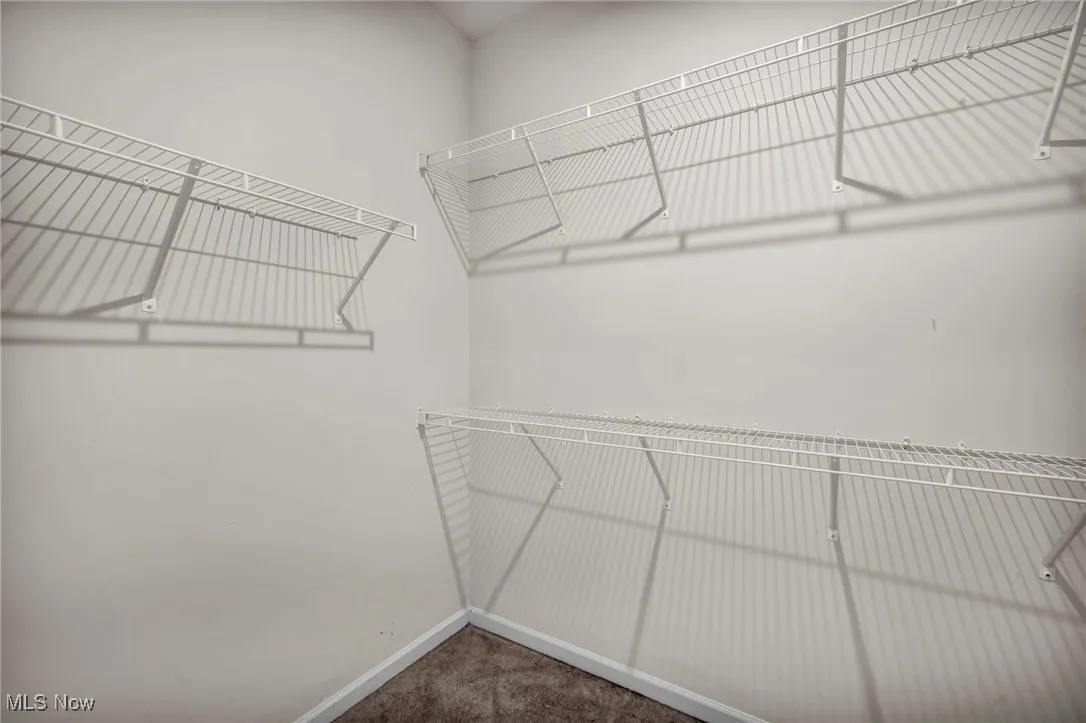 Walk in closet featuring carpet