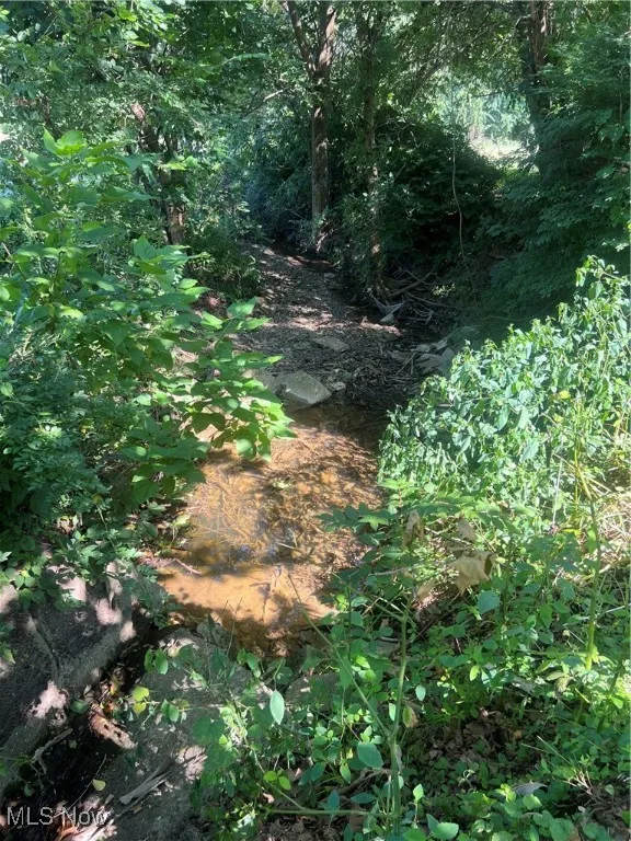 7255 Duncan Run Road, Philo, Ohio,MLS Now Listing ID
