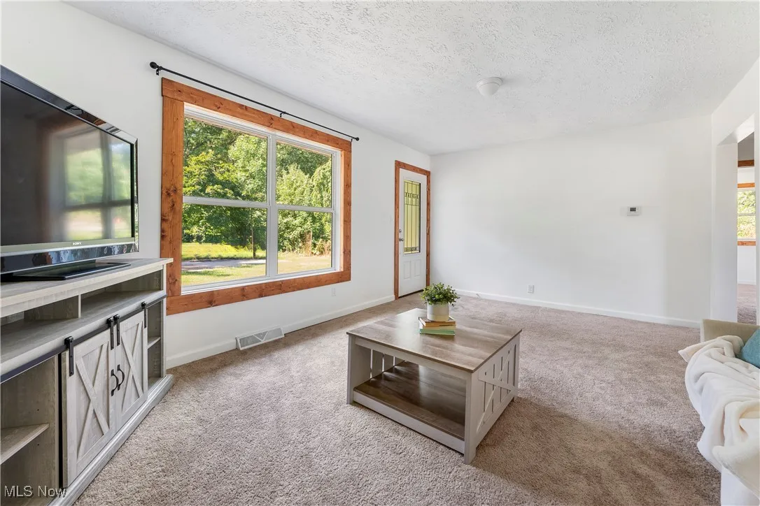 Living room with carpet floors, healthy amount of natural light, and a textured ceiling
