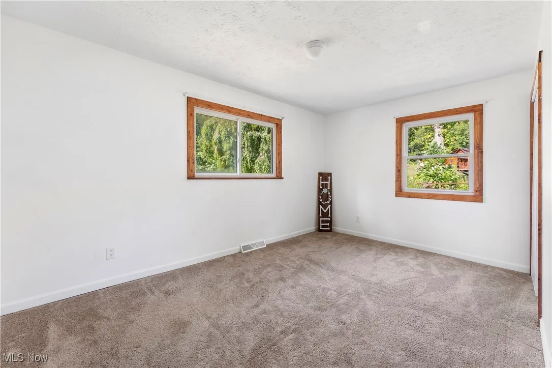 Empty room featuring carpet, healthy amount of natural light, and a textured ceiling