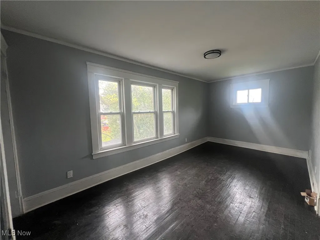 Spare room featuring crown molding and dark wood-type flooring
