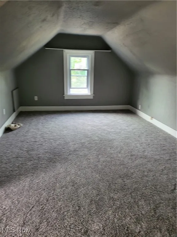 Additional living space featuring carpet flooring and vaulted ceiling
