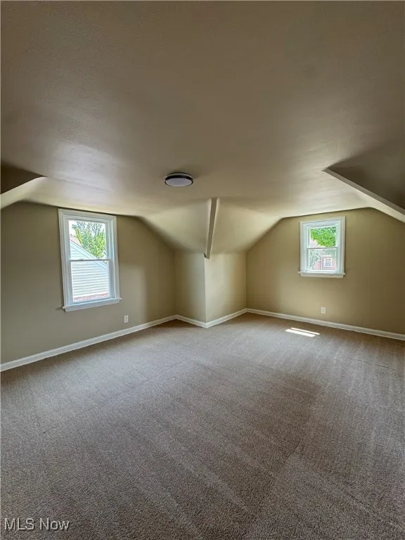 Bonus room featuring lofted ceiling and carpet