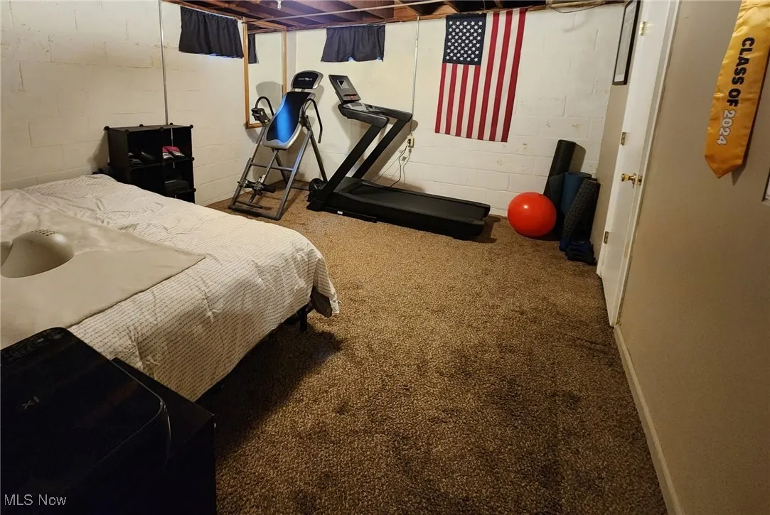 Bonus room or Bedroom with carpet flooring inn Basement