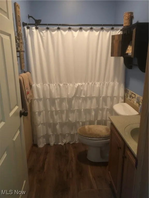 Full bathroom with vanity, wood finished floors, and a shower with curtain