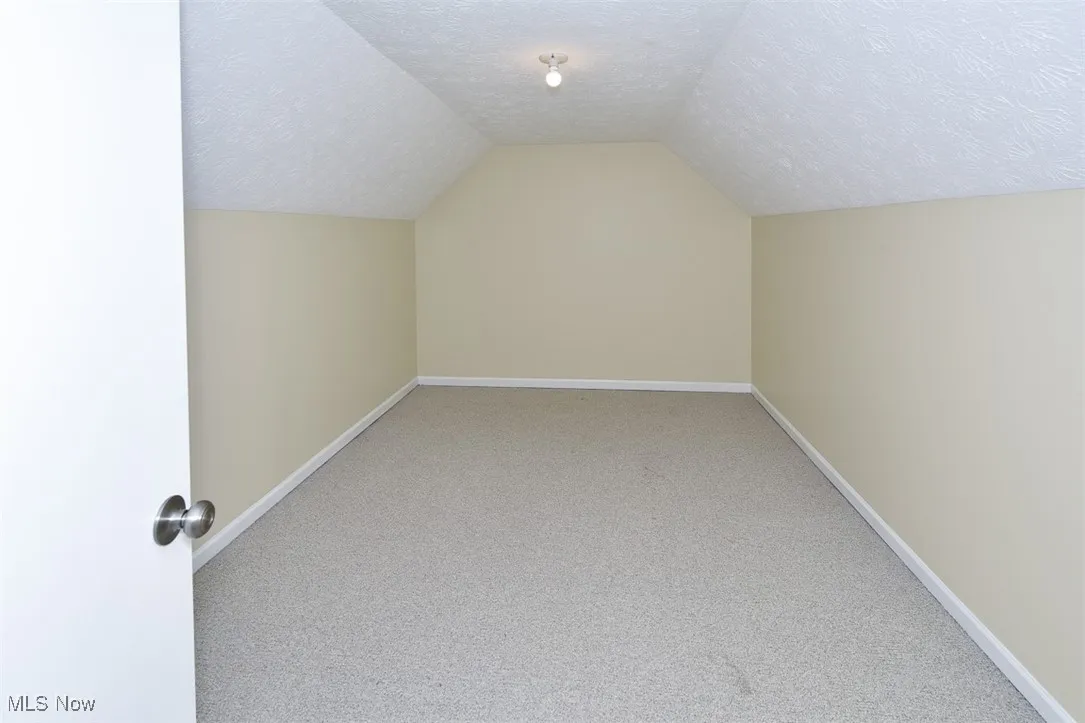 Bonus room featuring vaulted ceiling, a textured ceiling, and carpet floors