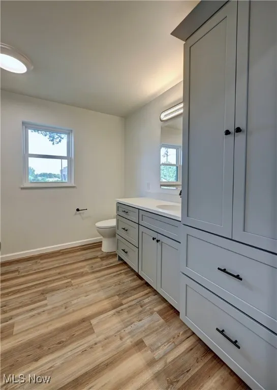 Bathroom featuring vanity, healthy amount of natural light, and wood finished floors