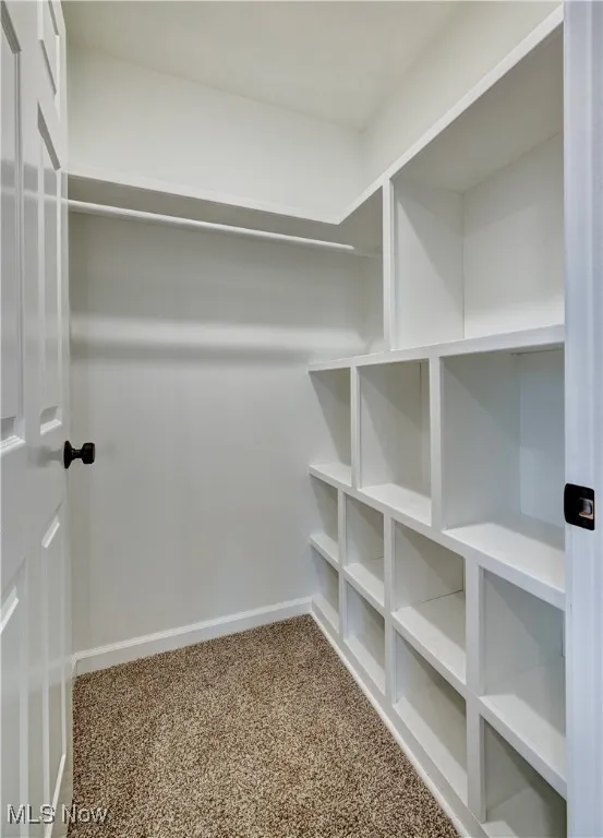 Spacious closet with carpet