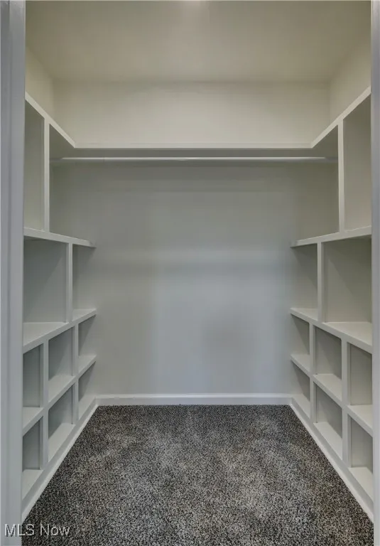 Walk in closet with carpet floors