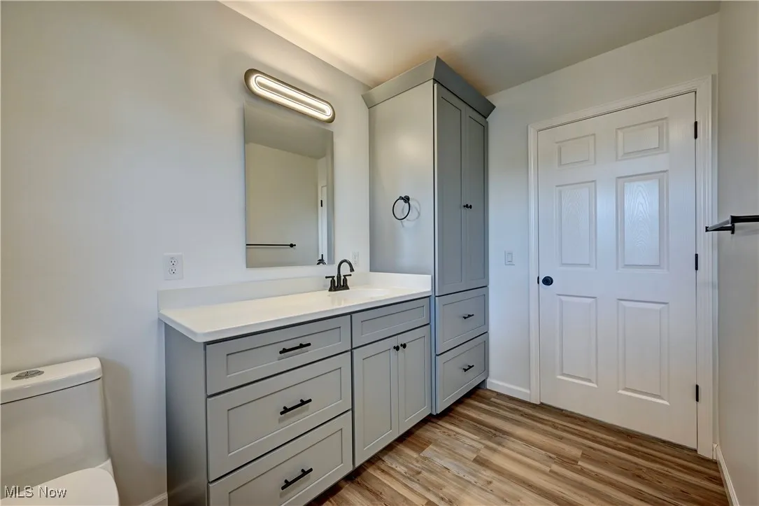 Bathroom with vanity and wood finished floors