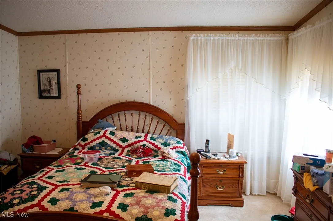 Bedroom with ornamental molding, a textured ceiling, and light colored carpet