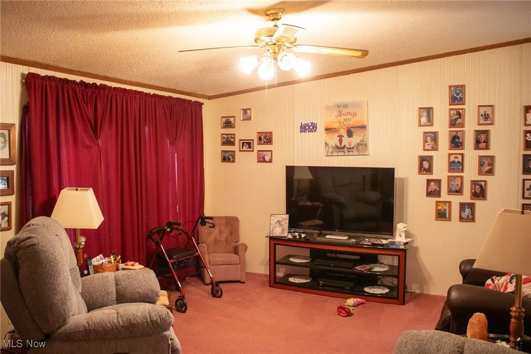 Living room featuring ornamental molding, a textured ceiling, ceiling fan, and carpet floors