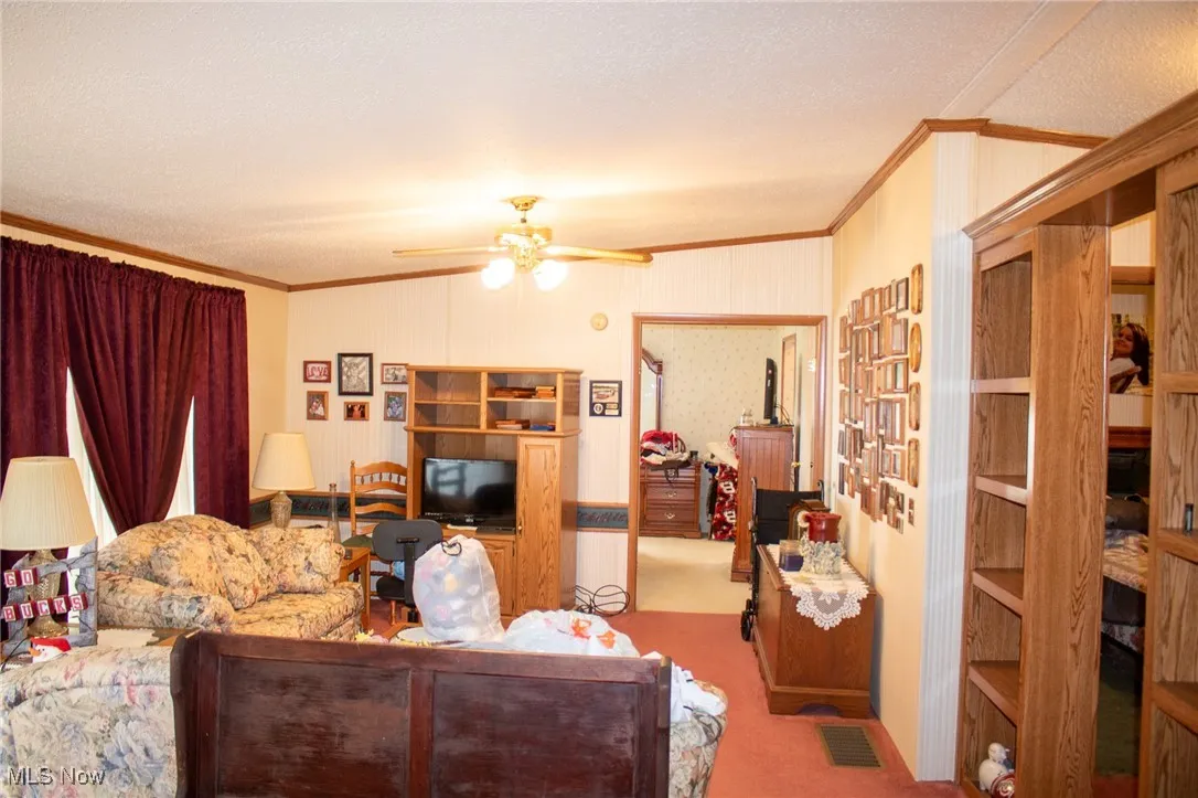 Carpeted living area featuring ornamental molding, a textured ceiling, and a ceiling fan