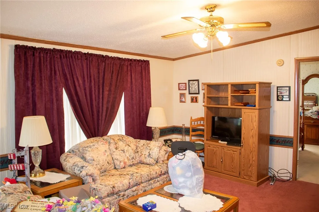 Living area featuring crown molding, ceiling fan, a textured ceiling, and carpet flooring