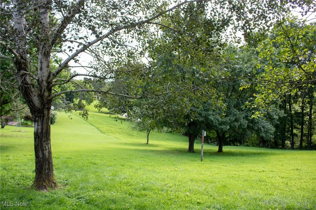 Surrounding community with a lawn