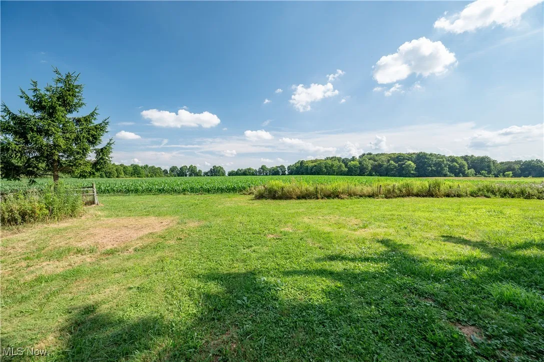 View of yard with a view of rural / pastoral area