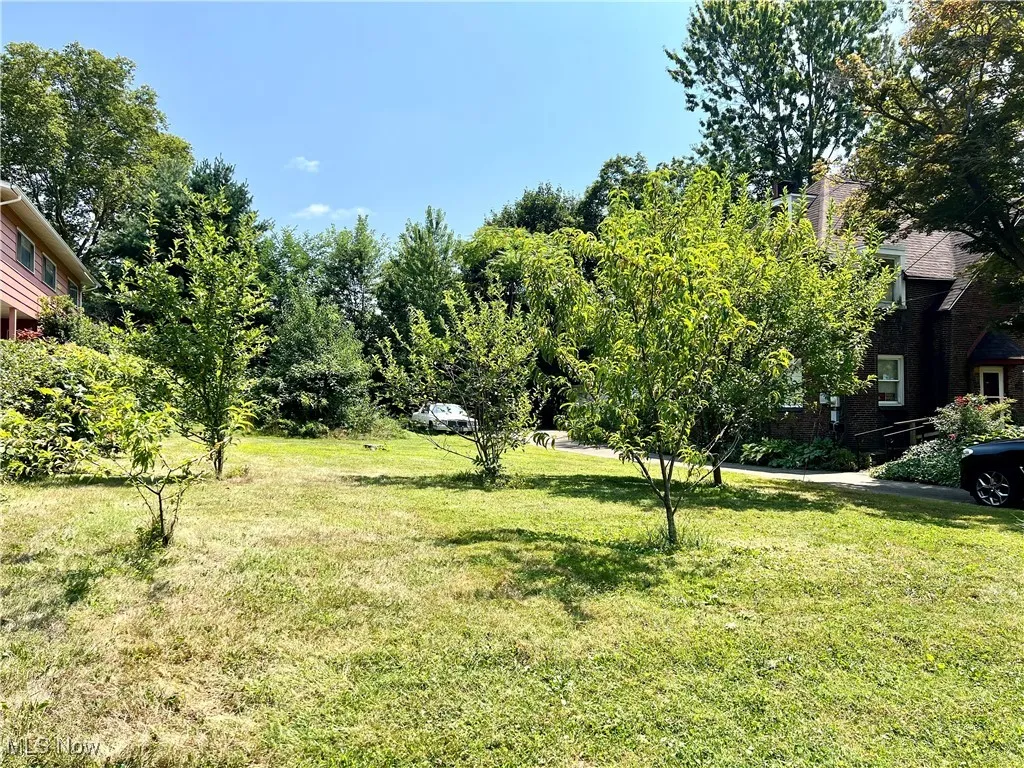 View of orchard, with a plum, peach, apple trees and grape vines.