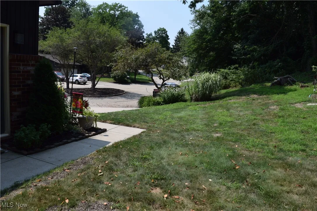 Front Yard