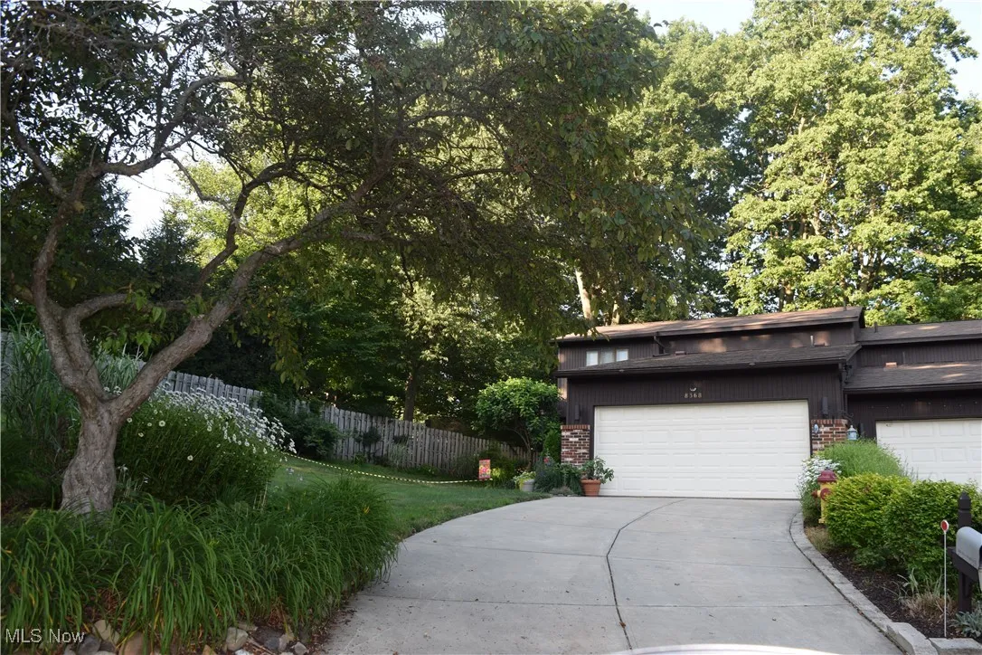 Driveway fits 4 cars