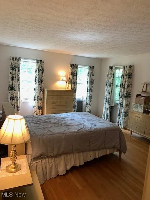 Bedroom with wood finished floors, multiple windows, and a textured ceiling