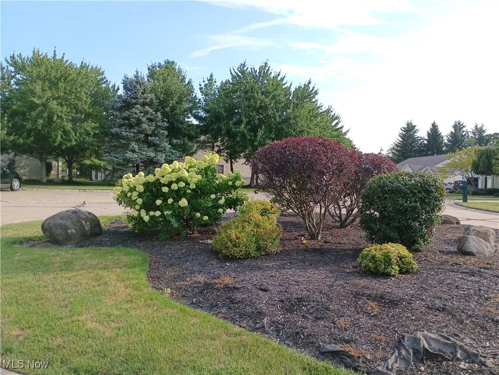 View of grassy yard