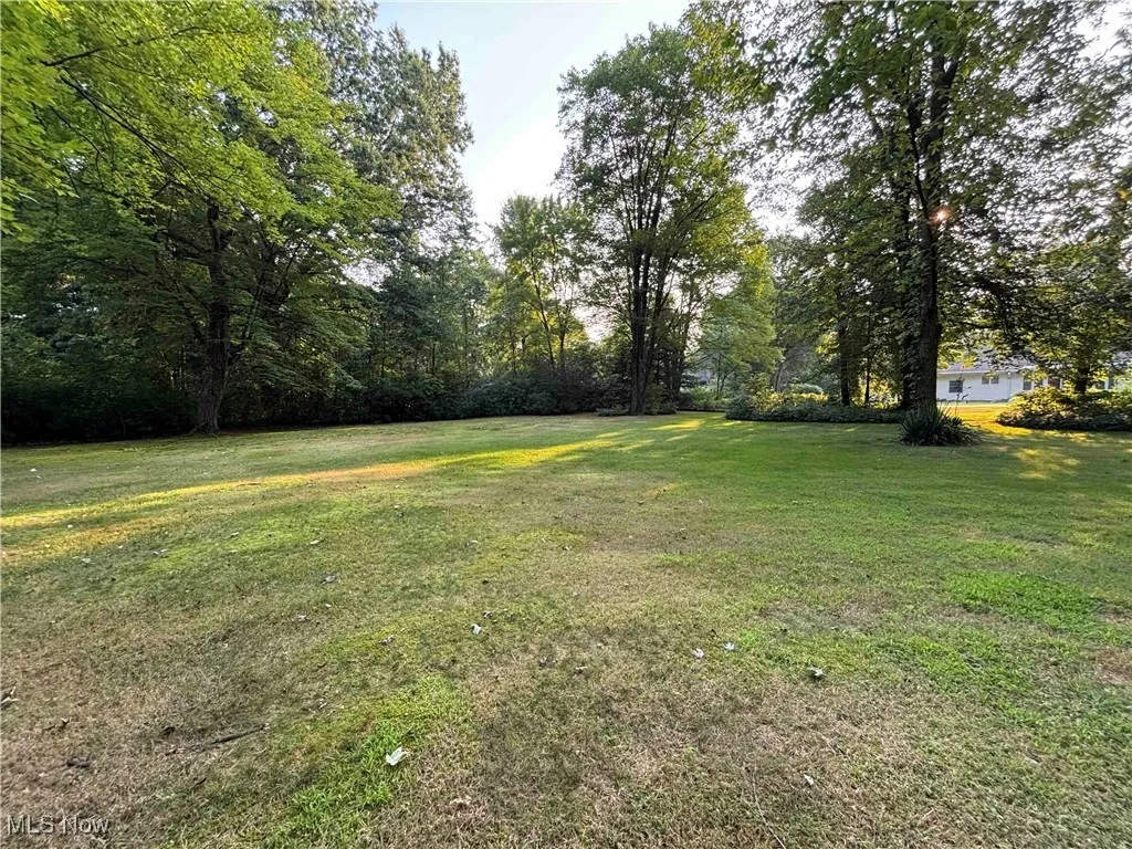 View of green lawn