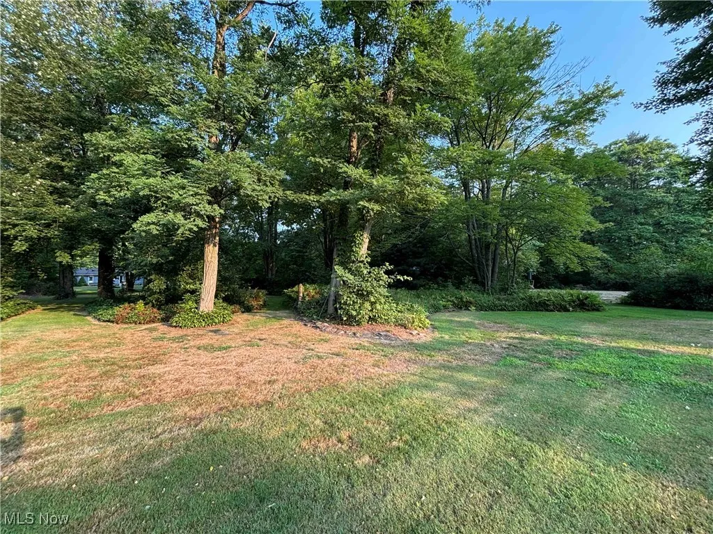 View of green lawn