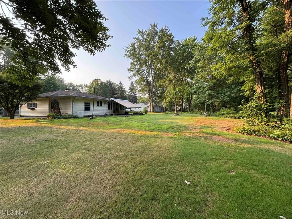 View of grassy yard