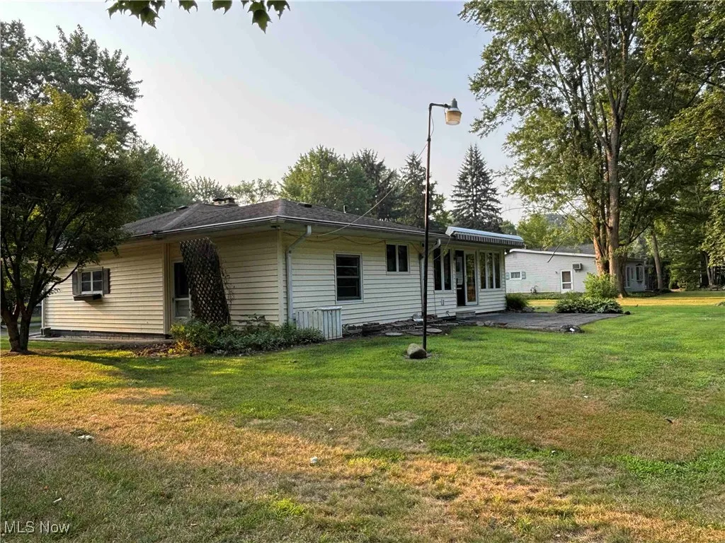 Rear view of property with a yard and a chimney