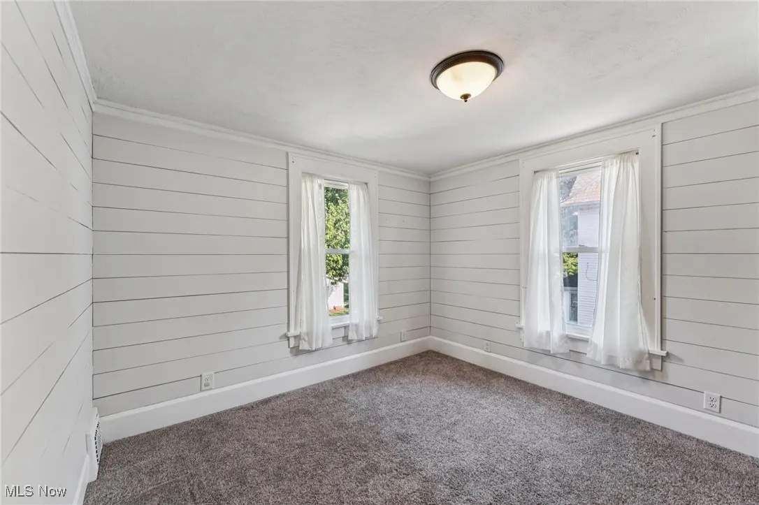 Spare room featuring wood walls and carpet