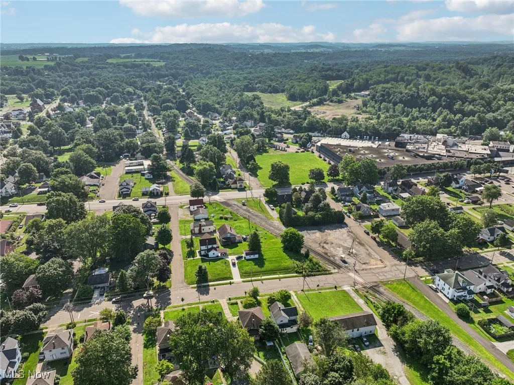 Aerial perspective of suburban area with a forest