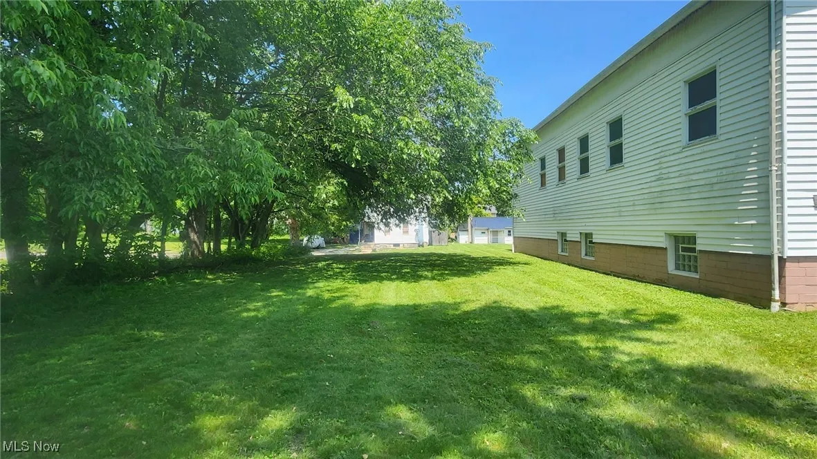 View of grassy yard