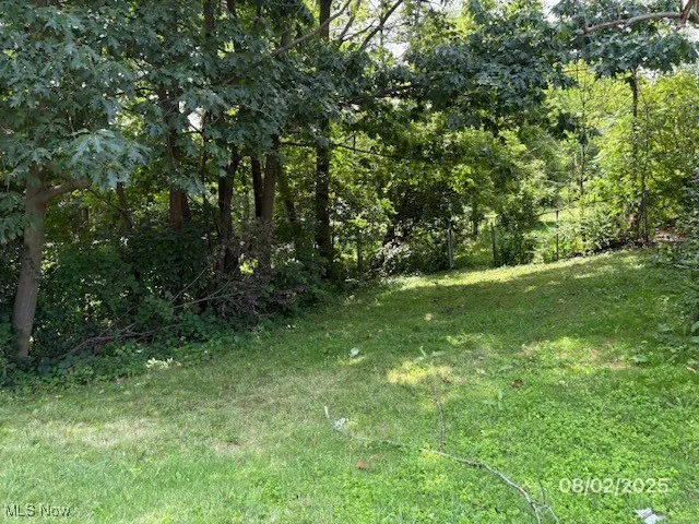 View of green lawn