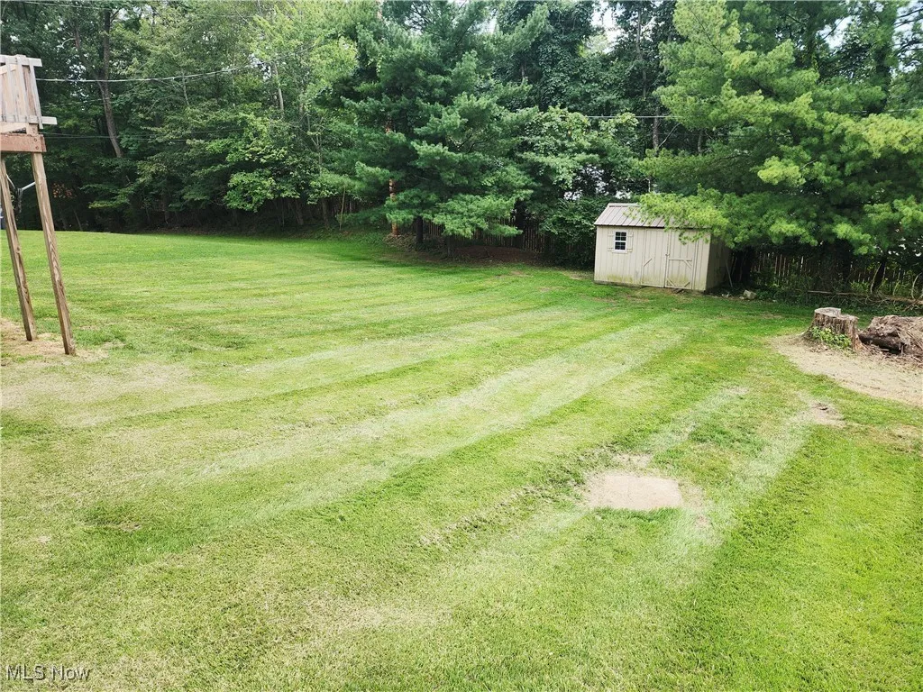 View of green lawn with a storage shed