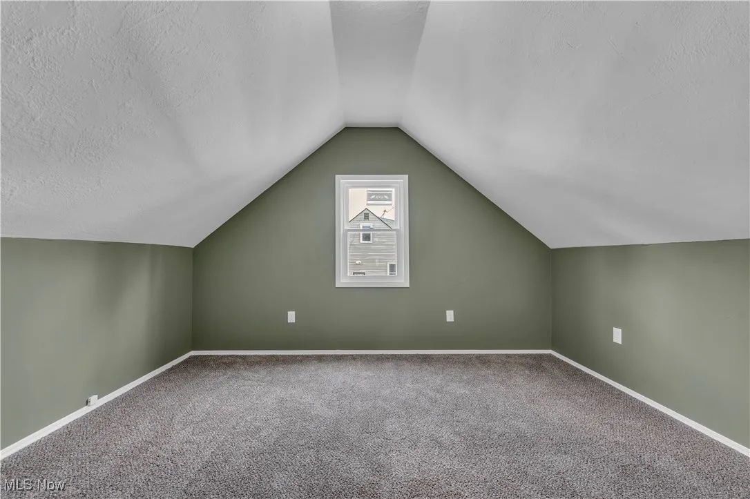 Additional living space featuring carpet, vaulted ceiling, and a textured ceiling