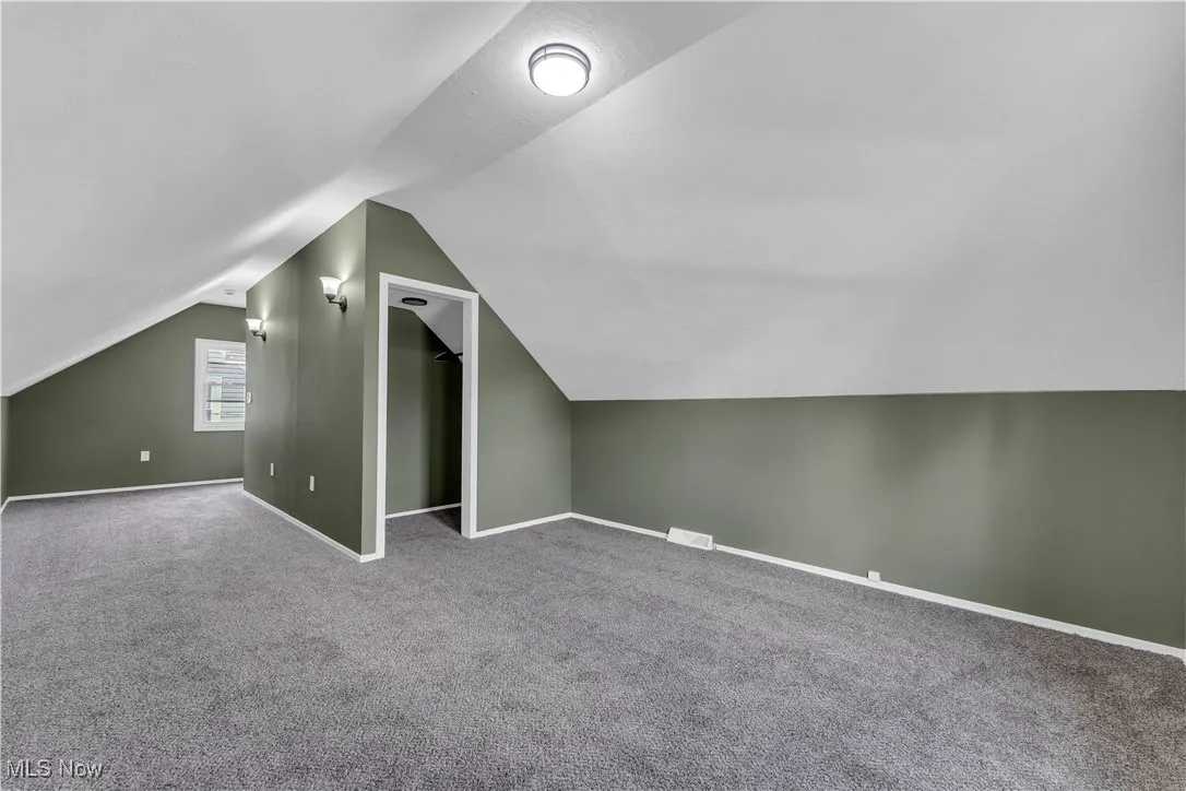 Additional living space featuring carpet and vaulted ceiling