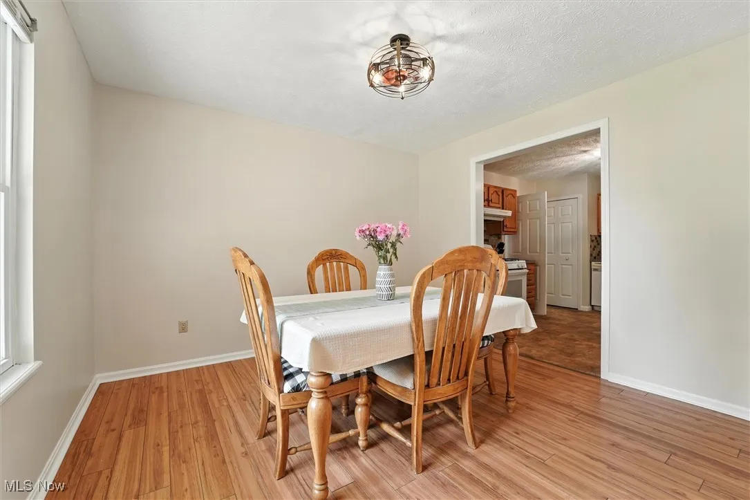 492 Ruth Street, Geneva, Ohio 44041,MLS Now Listing ID